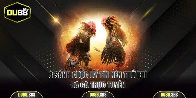 3 sảnh cược uy tín nên thử khi đá gà trực tuyến