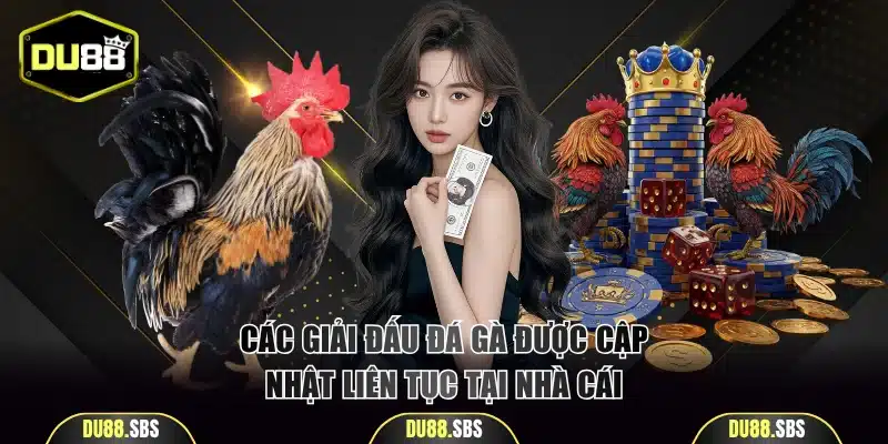 Các giải đấu đá gà được cập nhật liên tục tại nhà cái